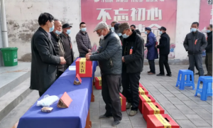 凤翔区柳林镇：区镇两级人大换届选举工作圆满完成