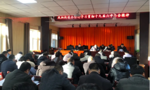 洛川县凤栖街道：传达学习党的十九届六中全会精神