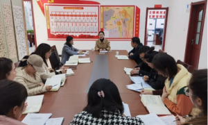 佳县委常委、组织部部长姜婧妮调研指导县流动党员服务中心工作