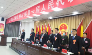 宝鸡市凤翔区柳林镇：第一届人民代表大会第一次会议胜利召开