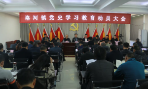 平利县洛河镇：强化党史学习教育 提升党性修养