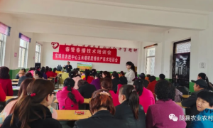 陇县：强化农业技术培训 夯实粮油丰产基础