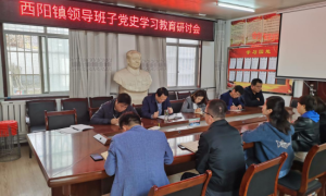 三原县西阳镇：多措并举推动党史学习教育学在实处