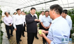安康：乘势而上推进富硒产业快速发展