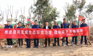 高陵区供电分公司：春回大地万物苏 植树添绿正当时