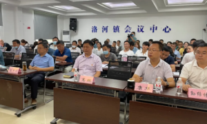 平利县洛河镇：赓续红色血脉 擘画光明未来