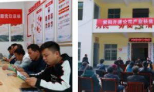 紫阳县：开展“三百”活动 为庆祝建党100周年献礼