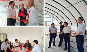 咸阳市乡村振兴局党组开展系列活动迎接中国共产党成立100周年