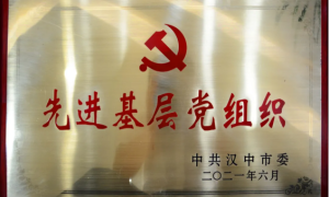 汉中市市场监管局直属机关党委被市委表彰为“先进基层党组织”