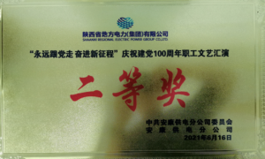 石泉县供电分公司庆祝建党100周年职工文艺汇演获佳绩