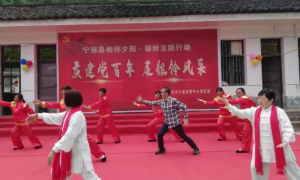 宁强县巨亭镇：迎百年 颂党恩 别样形式学党史