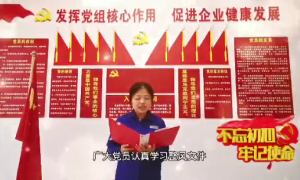 岚皋县供电分公司：传承红色基因，牢记初心使命