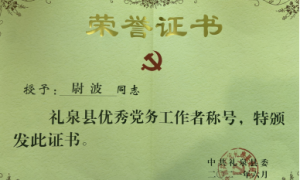 礼泉县供电分公司尉波同志荣获礼泉县优秀党务工作者称号