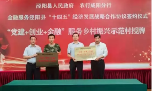 泾阳：“五个聚焦”全面推进乡村振兴