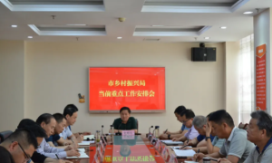 咸阳乡村振兴局召开当前重点工作安排会