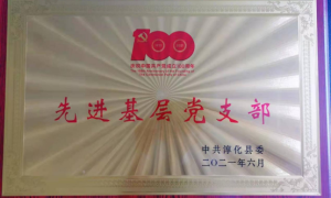 淳化县供电分公司荣获淳化县“先进基层党支部”荣誉称号