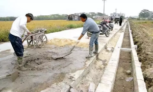 未来农业、农村、农民是这样的