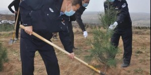 栽下一棵树 收获万点绿 乾县公安局组织民警赴乾陵开展植树造林活动