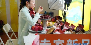“农味直播”助中国农产品登上“云端”