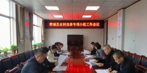澄城县召开农村改革专项小组第一次会议