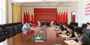 神木市中鸡镇召开党史学习教育专题组织生活会
