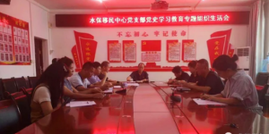 华阴市：开展党史学习教育专题组织生活会