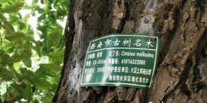 陕西秦岭国家公园创建获批 秦岭保护“重磅加码”