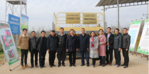 陕西省农业机械产业技术体系联合多部门在凤翔举办果园机械化现场会
