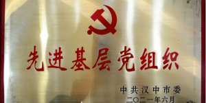 汉中市市场监管局直属机关党委被市委表彰为“先进基层党组织”